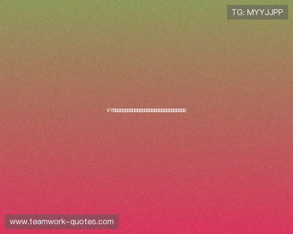 KY体育登录入口正式开启多渠道登录方式保障用户账号安全与便捷操作