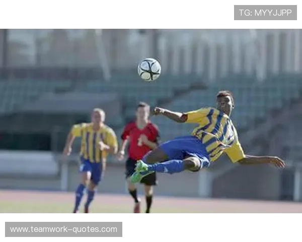 探索bob体育综合官方平台的多元化体育娱乐内容满足不同用户的个性化需求